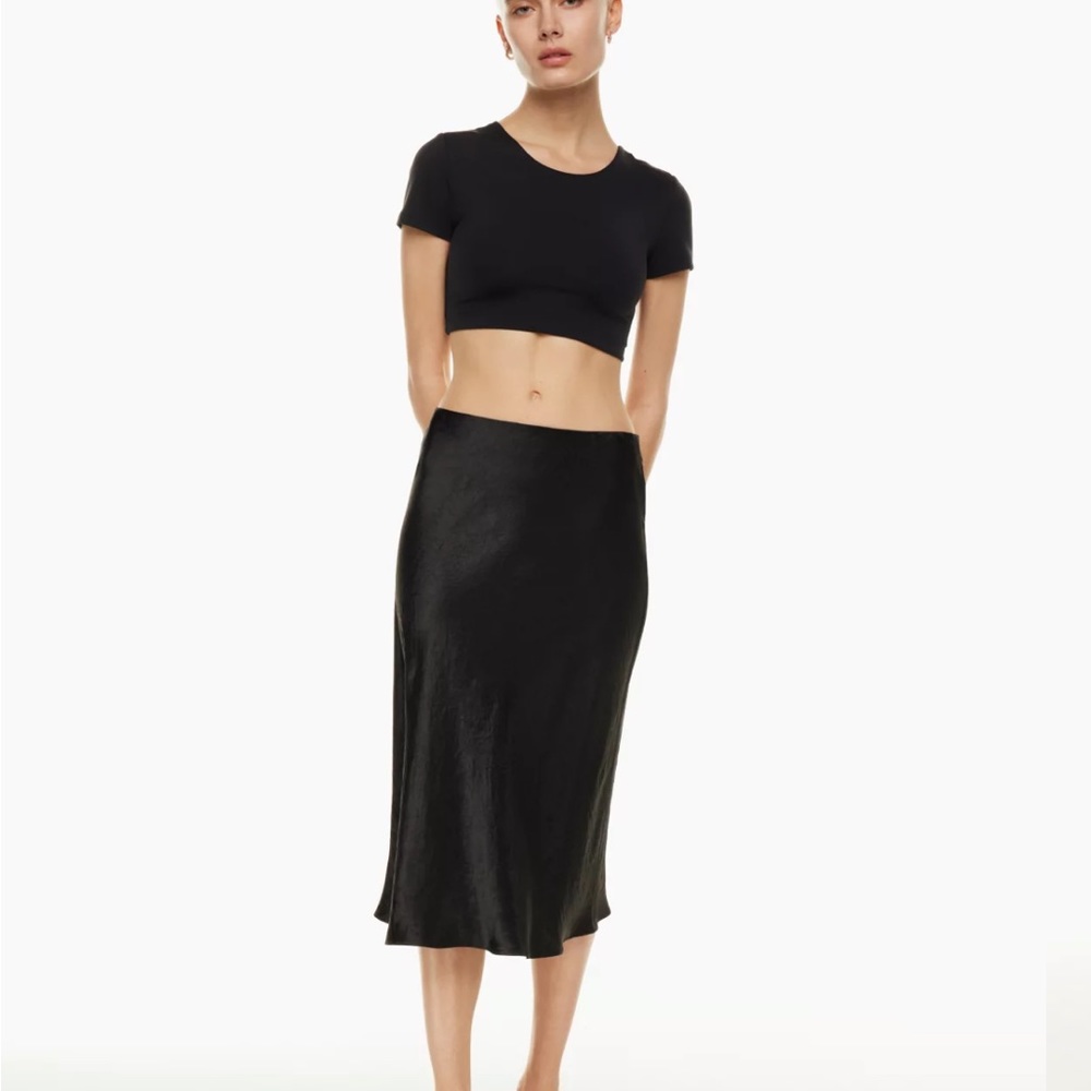 Babaton Size 4 silk skirt, never been worn.